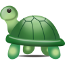 Desiturtle