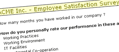 Employee Satisfaction Surveys using MS Excel