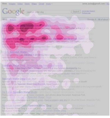 Google Eye Tracking Results