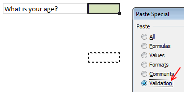 Remove Data Validation Rules with Paste Special