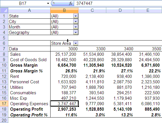 Grouping by Store Size - Profit Loss Reports in Excel
