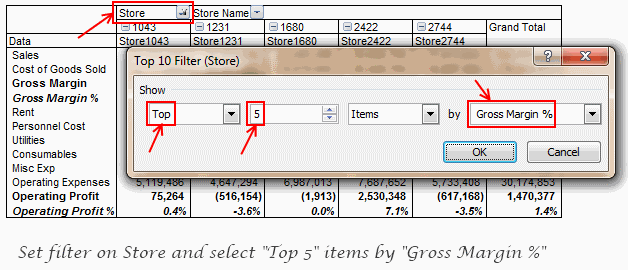 Profit Loss Report - Top 5 Stores by Gross Margin %