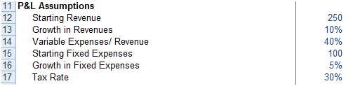 Profit & Loss - Operations Assumptions - Financial Modeling using Excel
