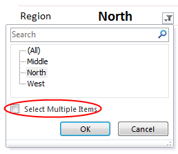 Select More than one value for Report Filter