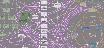 Obesity system influence diagram