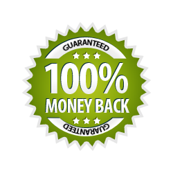 Money Back Guarantee 100% - Burst Badge Green