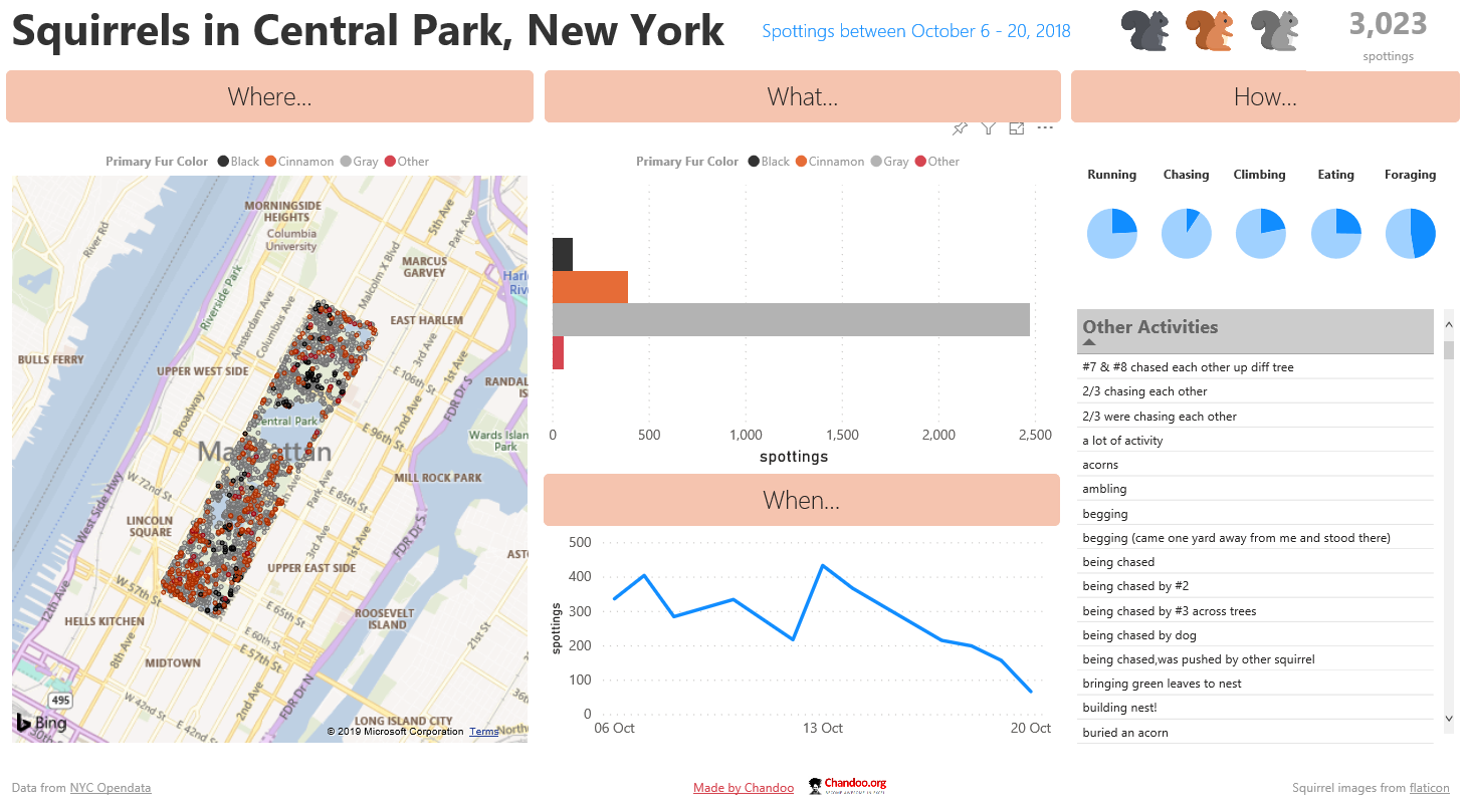 Data Play - Squirrels in Central Park