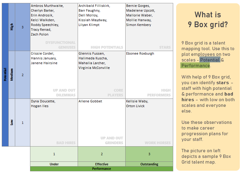 9 box grid explained